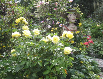 2011: In Blüten versteckt