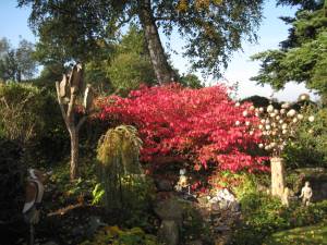 2012: Euonymus leuchtet rot
