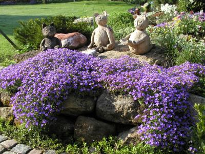 Steingarten: Auf einer lila Wolke