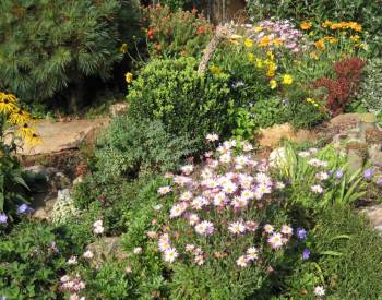 Steingarten: Herbstschmuck