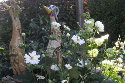 Weiße Anemonen