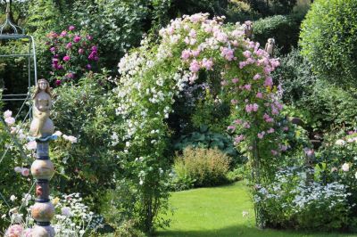 Bogen mit Kirschrose und Unschuld