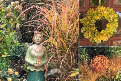 Herbstimpressionen