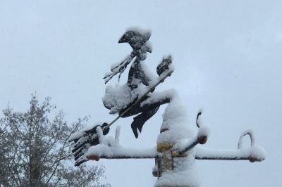 Windhexerich im Schnee