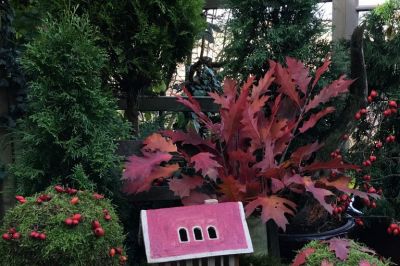 Herbstdeko im kleinen Hof