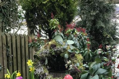 Etwas Frühling