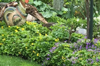 Gartenspaziergang