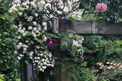 Keramiktor mit Rosen