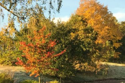 Herbstliche Impression