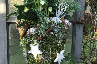 Moostüte mit Christrose