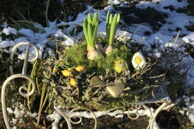 Dekoschlitten im winterlichen Garten