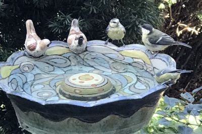 Reger Besuch an der Vogeltränke