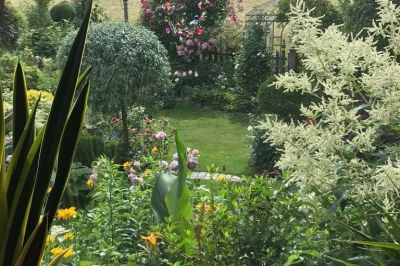 Blick von drinnen in den Garten