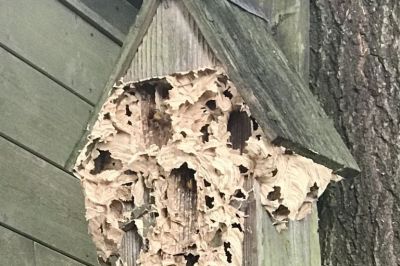 Außenverkleidung nach dem ersten Frost
