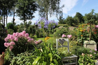 Sommerlicher Garten bei der Terrasse