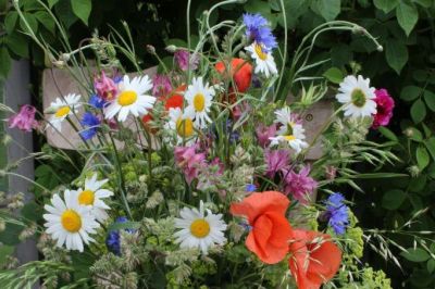 Bunter Wiesenblumenstrauß