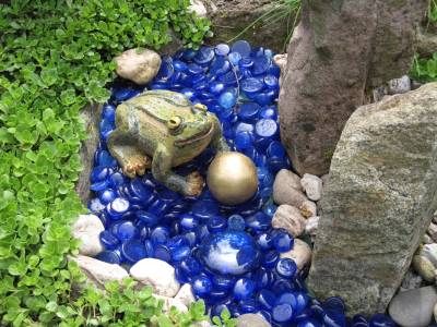 Frosch im Glasteich