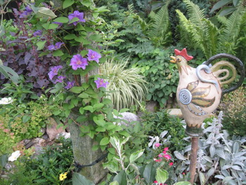 Henne mit Clematis