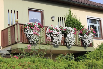 Blühende Pracht am Balkon