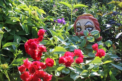 Der Rosenschnupperer