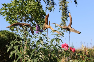 Wurzelholzvögel