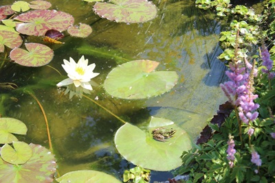 Sonnen auf der Insel