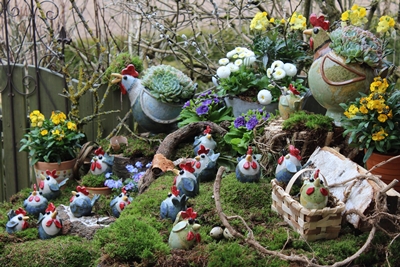 Osterhühner Nachwuchs