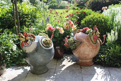 Terrassenhühner