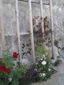 Geier mit Clematis