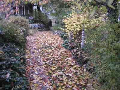 Laubgasse