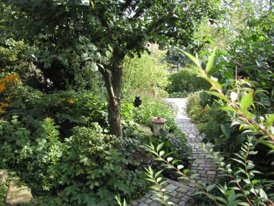 Weg zur Terrasse