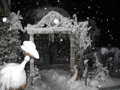 Große Flocken