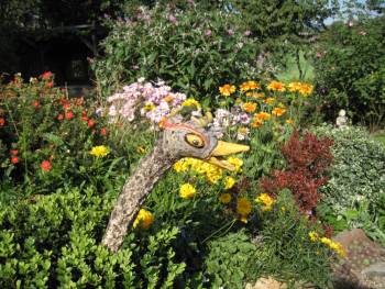 Buchsgucker im Herbstschmuck