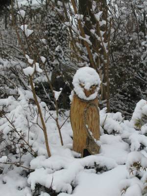 Schneehaube und Bart