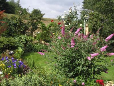 Sommerflieder und Rose Elfe