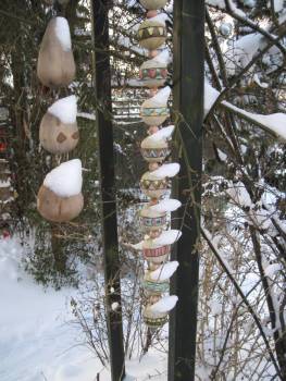Viele Schneehäubchen
