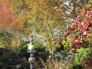 Herbstimpression