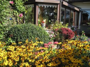 Herbst an der Terrasse