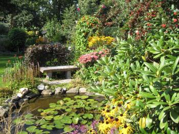 Herbstlicher Teich